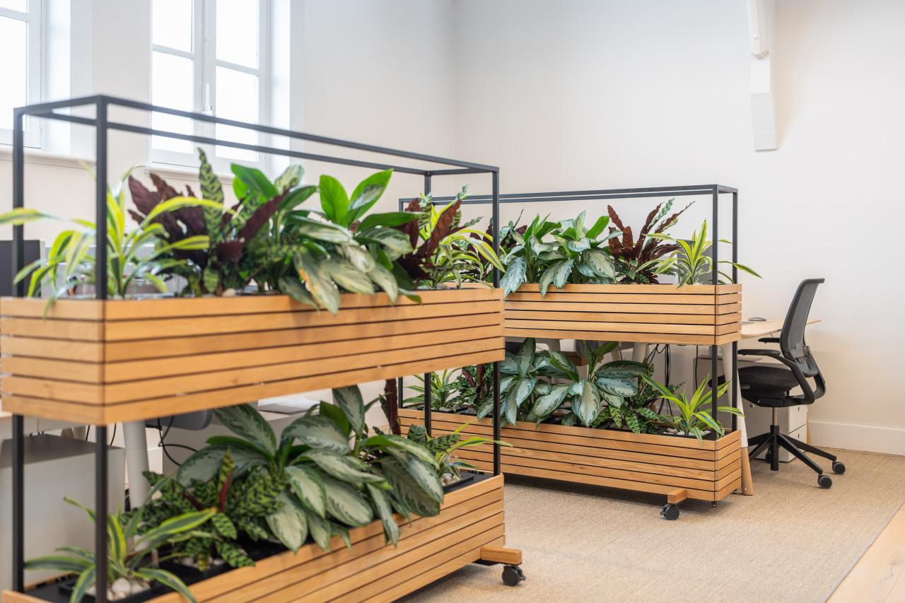 Green Office Design: A Guide to Sustainable Office Fit Outs | Blueprint ...